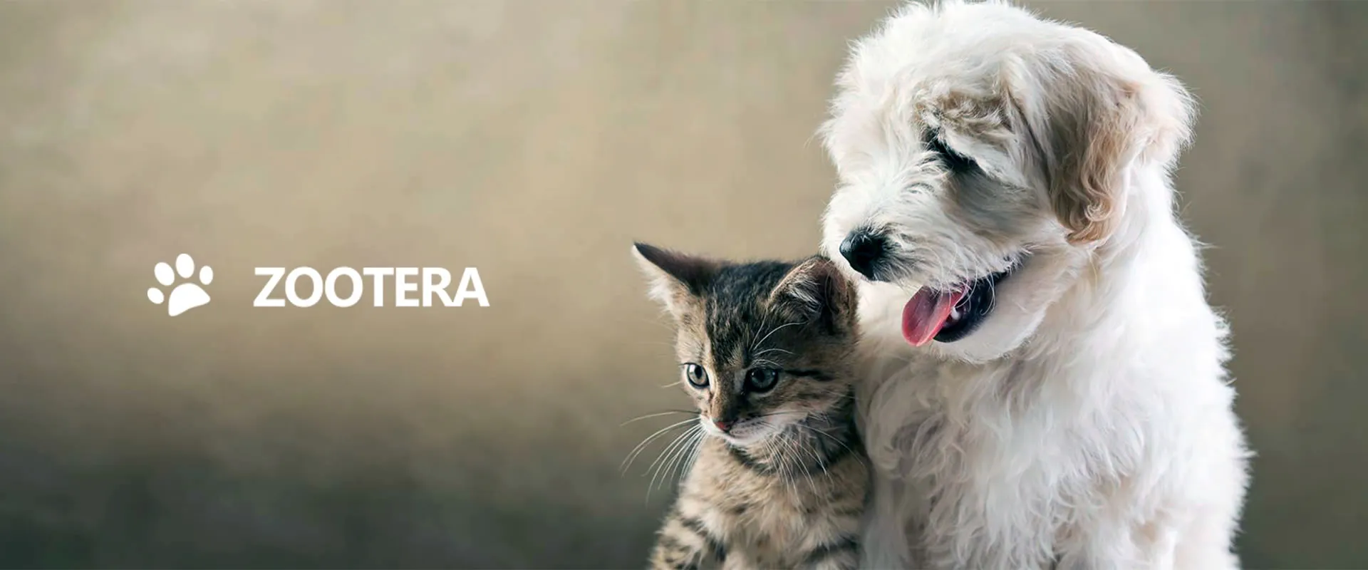 Интернет-магазина ZOOTERA